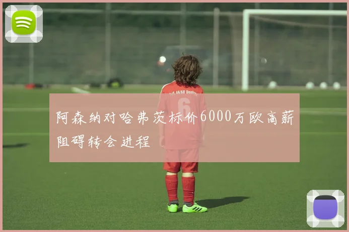 阿森纳对哈弗茨标价6000万欧高薪阻碍转会进程