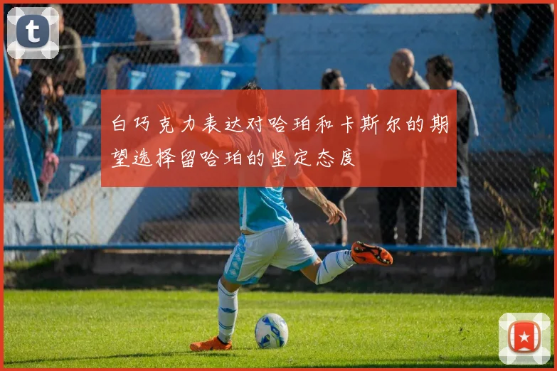 白巧克力表达对哈珀和卡斯尔的期望选择留哈珀的坚定态度